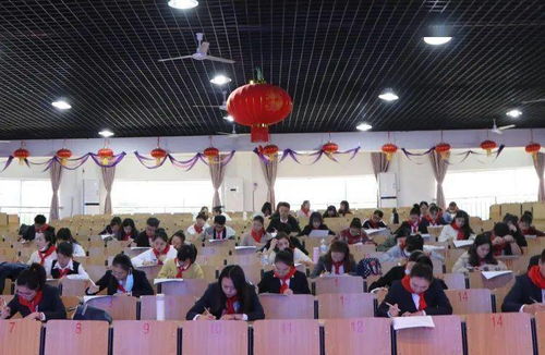 百度少先队基础专业知识