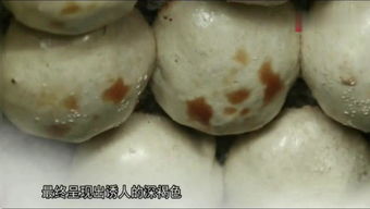 疯哥谈新疆和田玉基础知识