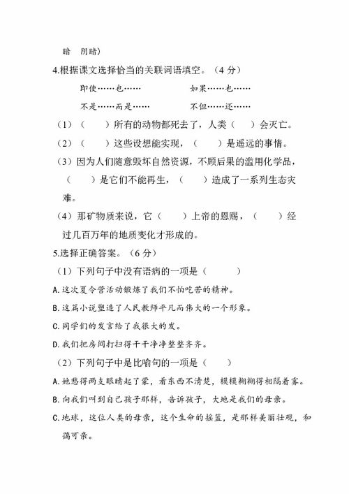小学六级语文基础知识试