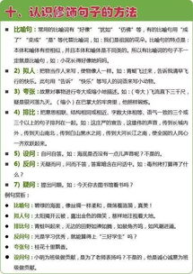 语文基础知识课外班