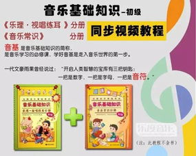 基础知识,小学,音版,音乐