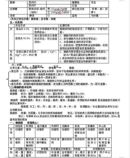 幼儿基础知识点梳理