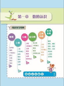基础知识,小学生,必备,技能