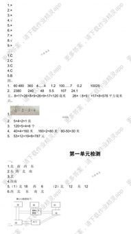 三级数学学生知识基础现状分析