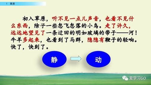体育与健康基础知识微课,口风琴的基础知识,乐谱基础知识口风琴