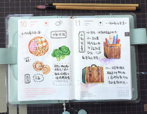 学设计应该画什么基础知识