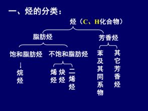 有机化学,高二,上海,基础知识
