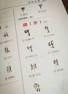 甲骨文,基础知识,研究