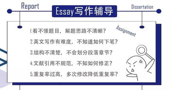 经济学专业学科基础知识
