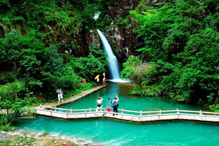 贵阳市花溪区公共基础知识