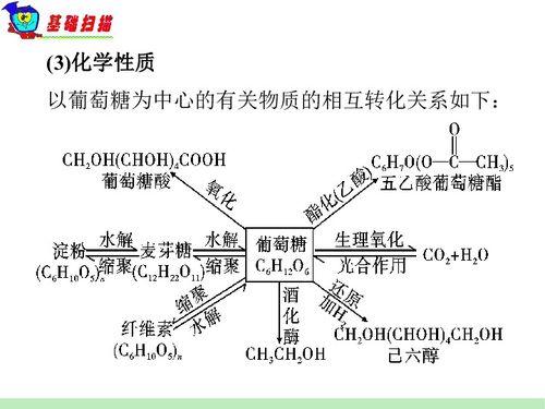 化学5-8单元基础知识检测