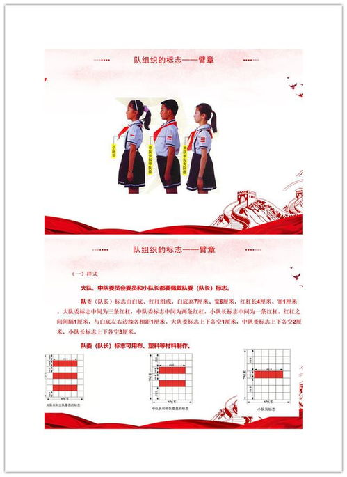 小学少先队员基础知识
