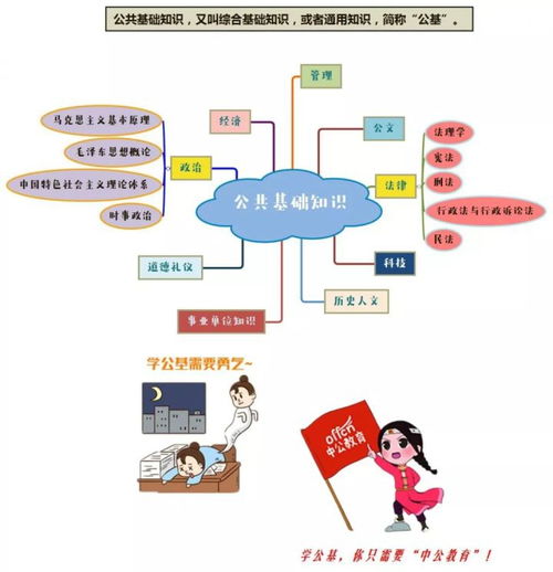 公共基础知识怎么报名
