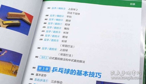 基础知识,教案,兵兵球