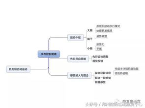 金融市场基础知识思维导图,教育基础知识思维导图,工程材料基础知识思维导图