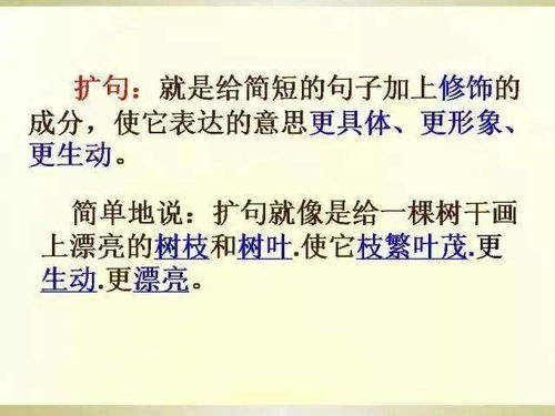 语文基础及写作基础知识