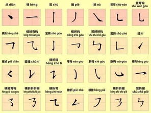 笔顺,基础知识,规则