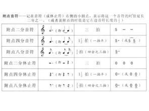 六级基础知识教案