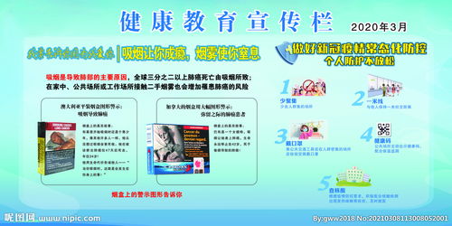 健康基础知识宣传