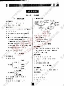 基础知识,七级,数学