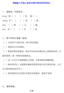 六年级语文基础知识题,六年级语文基础知识归纳,六年级下册语文基础知识