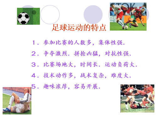 小学篮球基础知识ppt,PPT基础知识课件,皮肤基础知识课件PPT