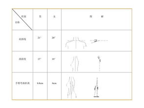 服装结构设计基础基础知识教案