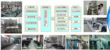 基础知识,精细化工
