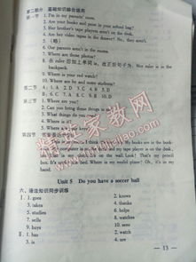 七级基础知识测试英语答案
