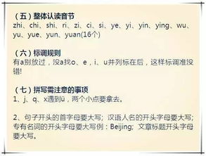 小学语文基础知识能力提高