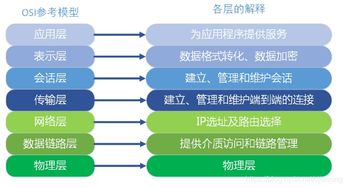 计算机及网络基础知识和应用能力,网络基础知识及应用,网络基础知识及internet应用