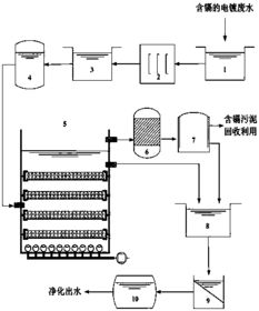 电镀污水基础知识