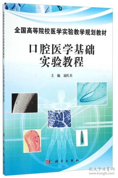 基础知识,口腔,教学