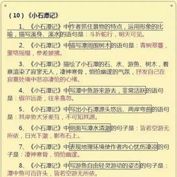 怎样训练孩子的语文基础知识