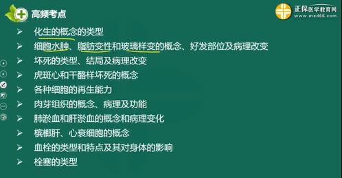 医学基础知识b什么意思