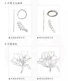 手绘,基础知识,入门,cad