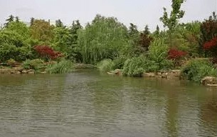 水生态构建常见动植物基础知识