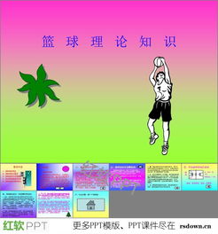 最新篮球基础知识ppt课件