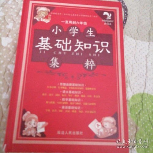 小学生队员基础知识