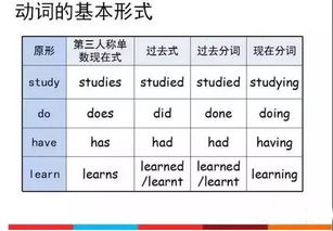 英语四级语法基础知识大全,初中语文语法基础知识大全,语文语法基础知识大全