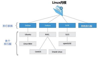 linux部署基础知识