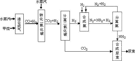 灵活运用基础知识的能力差