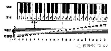 乐谱基础知识低音