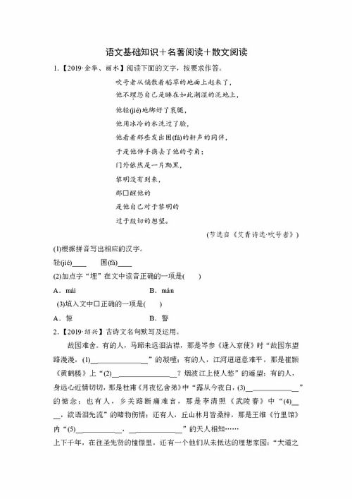 基础知识,中考,测试卷,语文