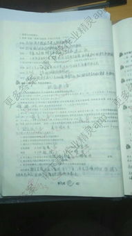 语文s版六级上册基础知识总会