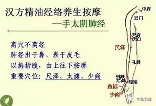 中医的最基础知识是