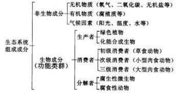 生物系统的营养结构基础知识