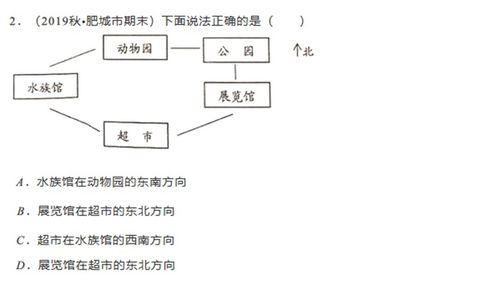 基础知识专项训练三