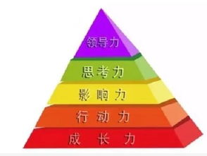 青少基础理论知识