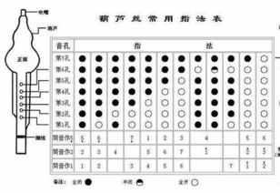初学者葫芦丝乐理基础知识